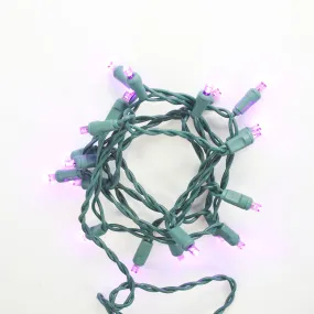 20-light Purple LED Craft Lights, Green Wire