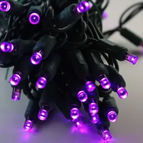 50-light  5mm Purple LED Christmas Lights, 4" Spacing Green Wire