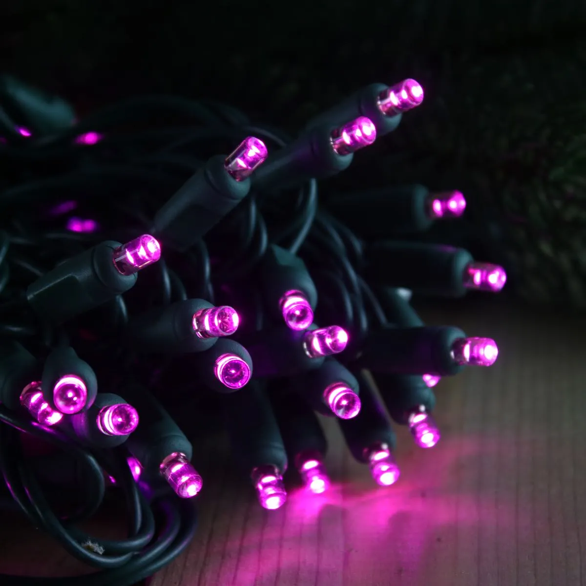 50-light  5mm Purple LED Christmas Lights, 6" Spacing Green Wire