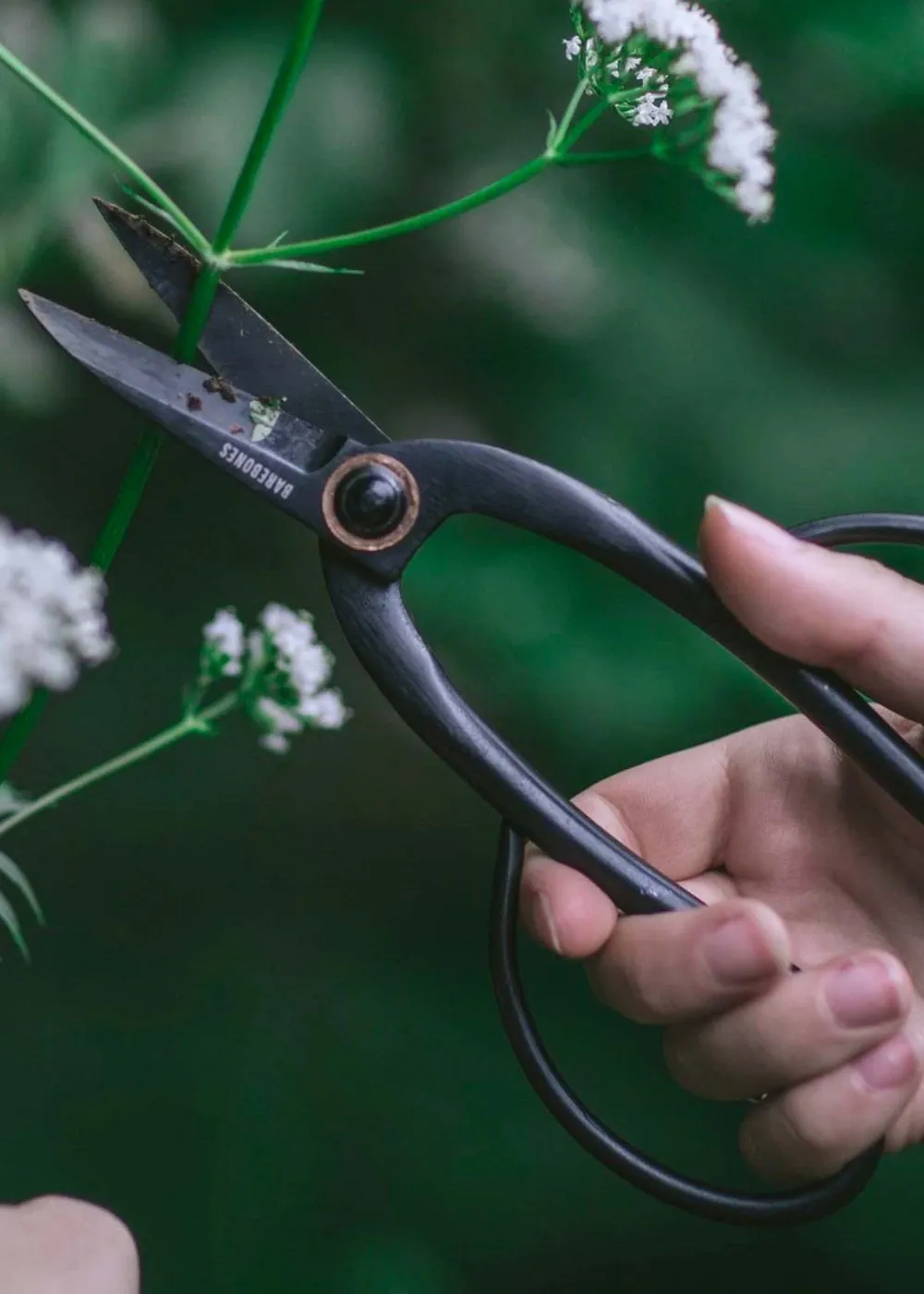 Artisan Garden Pruning Shears