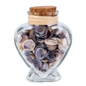 Beachcombers Coastal Life Sea Shell "Heart Glass Bottle"