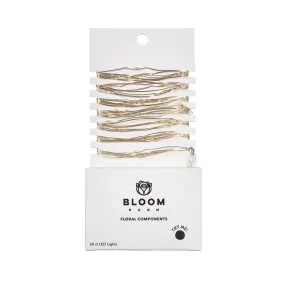 Bloom Room 60ct LED Mini Silver Wire with Warm White String Lights