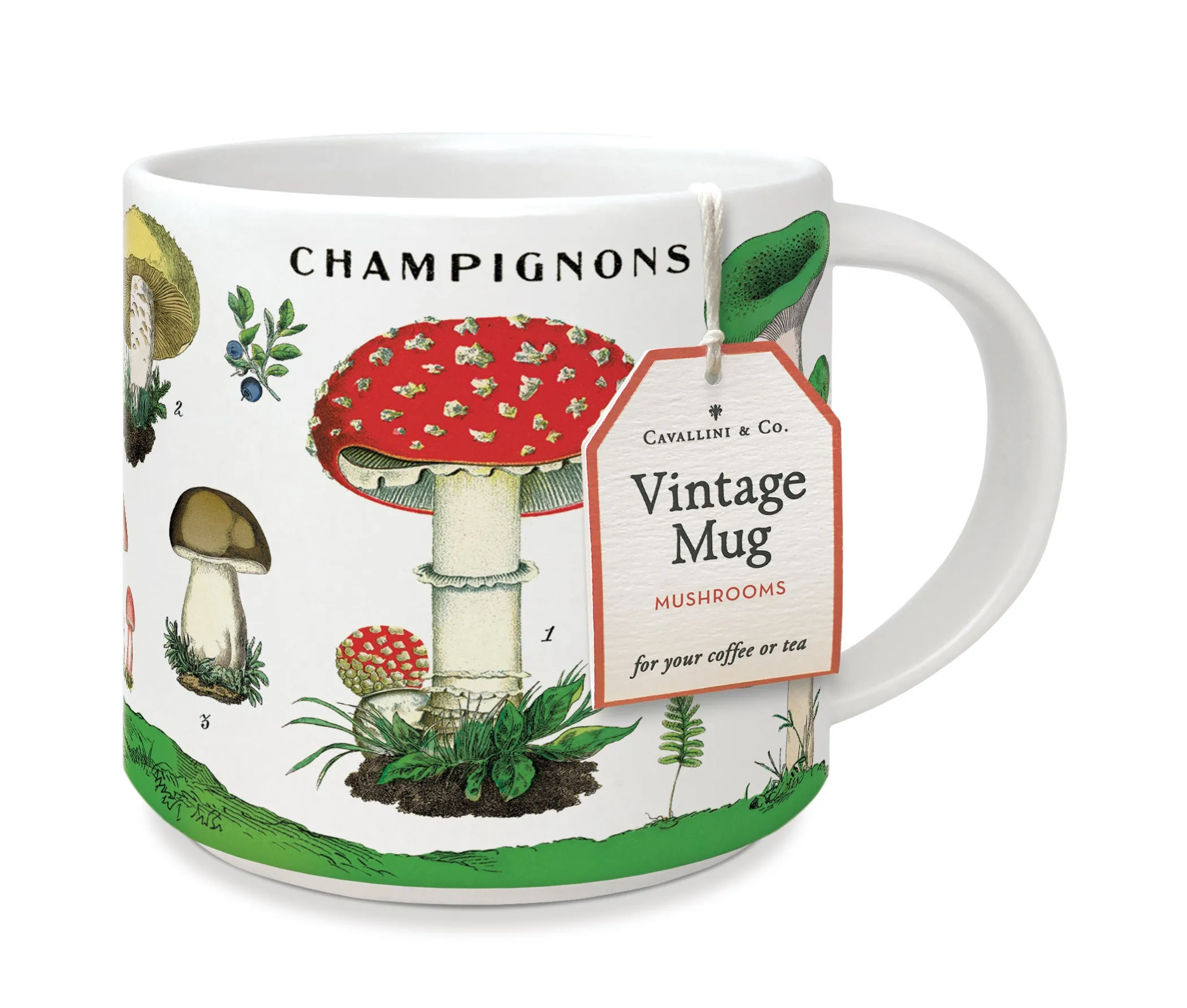 Cavallini & Co. Mushrooms Ceramic Mug