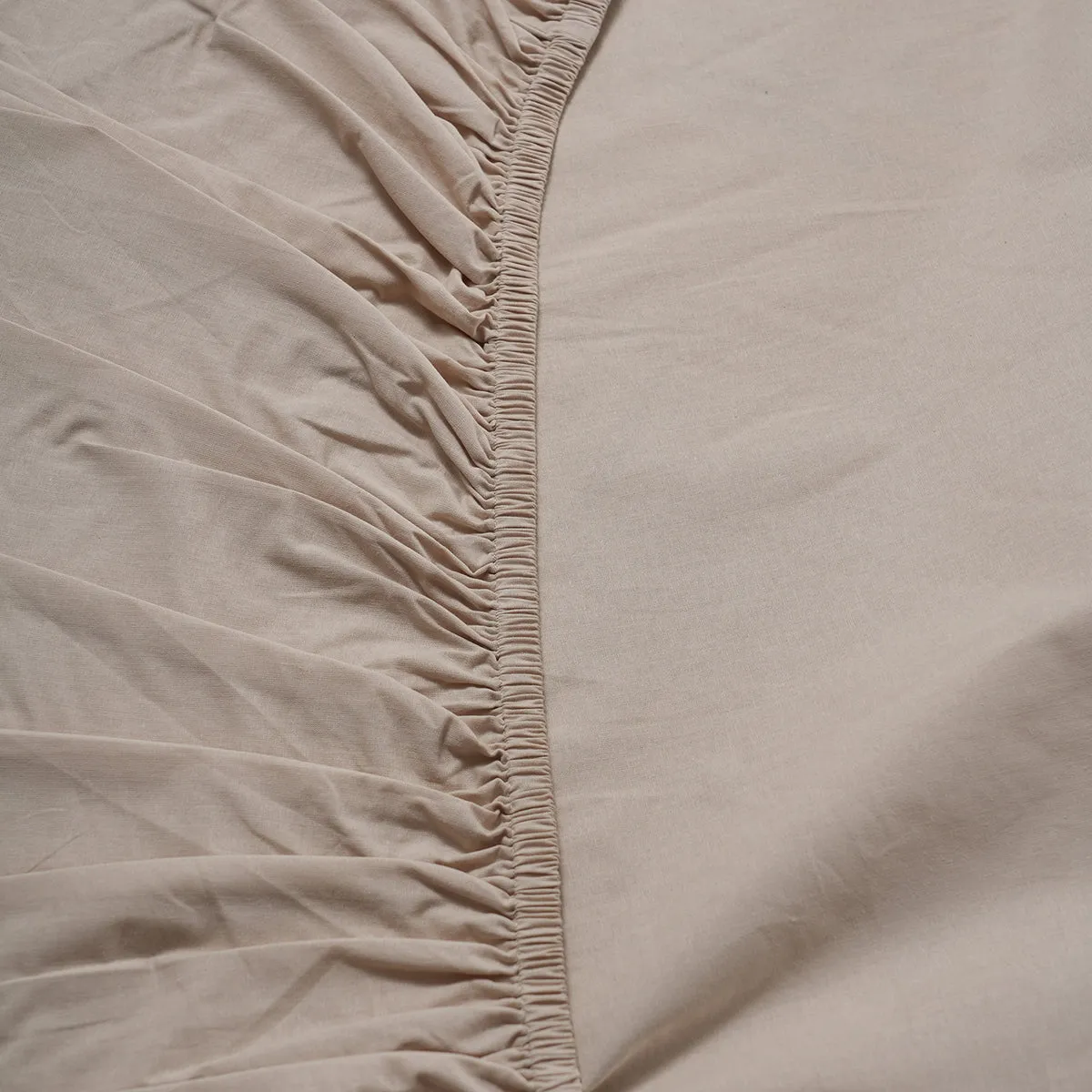 Eden Crisp & Light Weight 100% Cotton Solid Beige Fitted Sheet