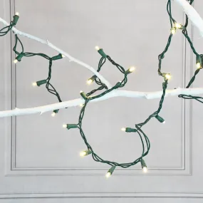 Electric LED Mini String Lights with 70 Soft White Bulbs