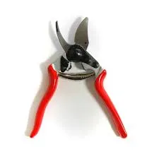 Felco F6 Ergonomic Pruning Shears