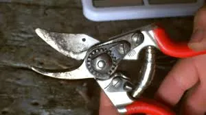 Felco F6 Ergonomic Pruning Shears