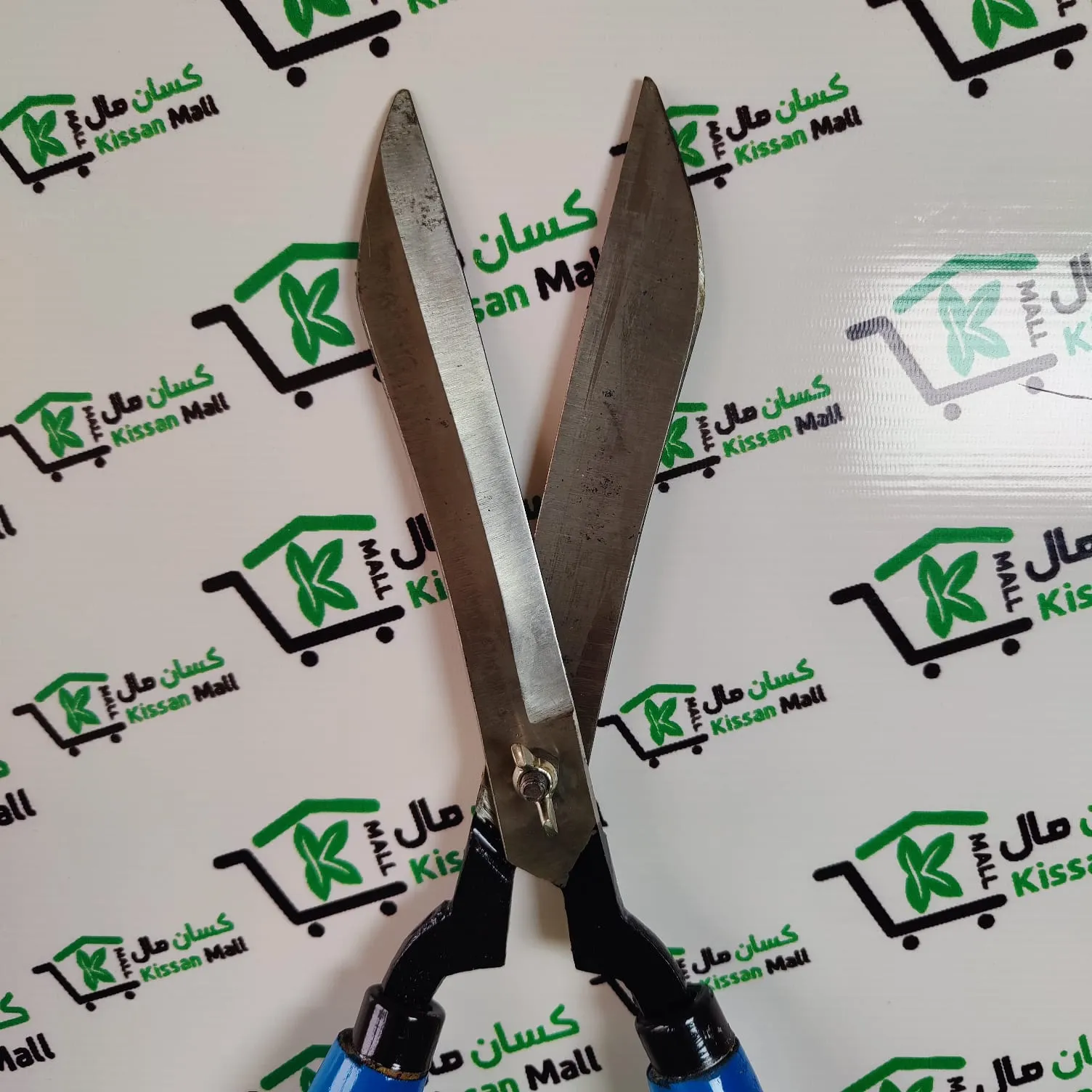 Garden Pruning Scissor (medium)