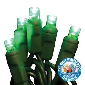 Holiday Bright Lights LEDBX-WA50-GR6 Light Set, 50-Lamp, LED Lamp, Green Lamp, 50,000 hr Average Life, 26 ft L :EA: QUANTITY: 1