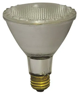 Par 30 Halogen Par Lamp