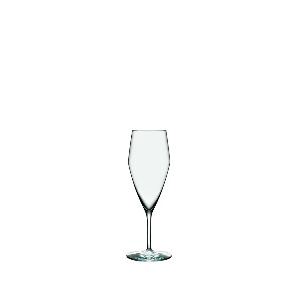 Perfection Champagne Glass (Set of 6)