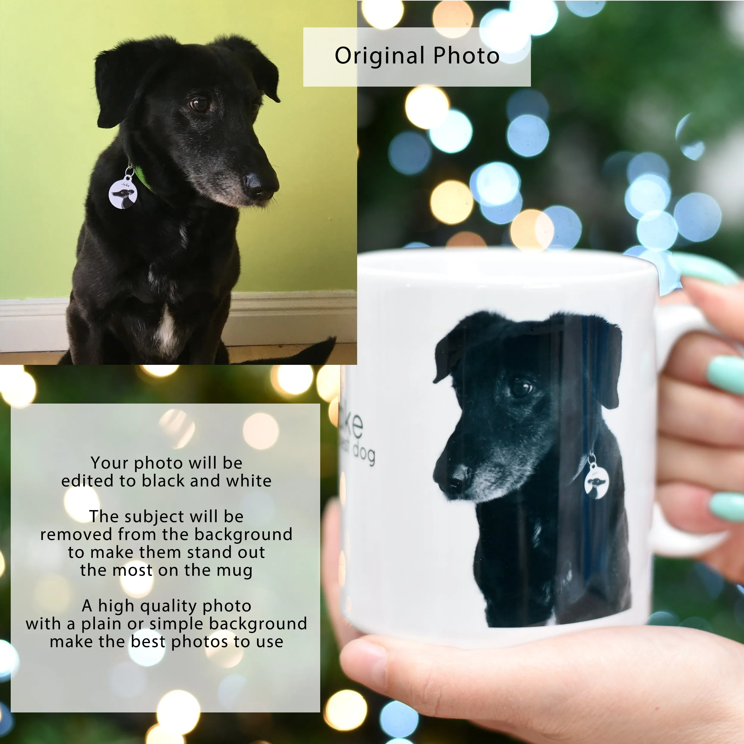 Personalised Dog and Pet Photo Mug