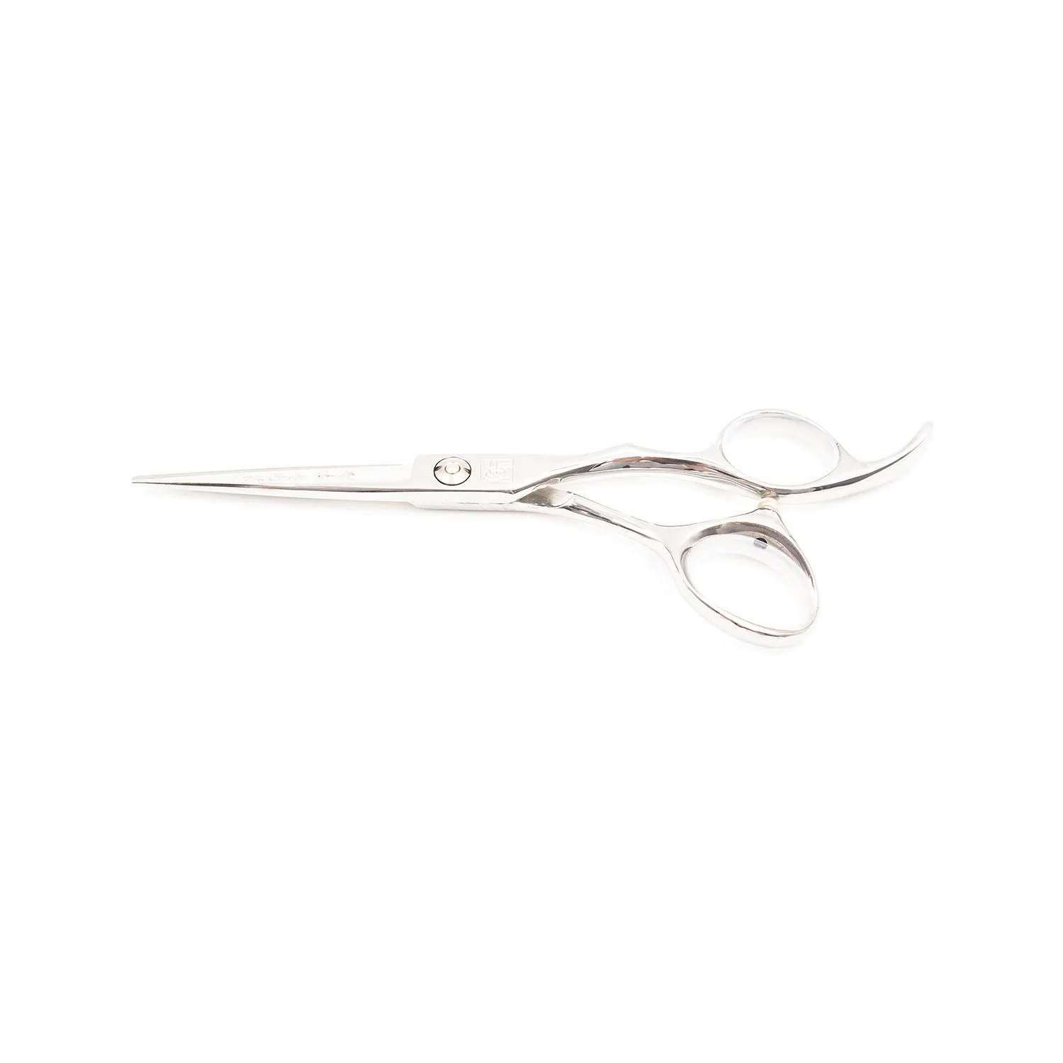 Professional 5.5" Salon Hair Cutting Scissors (9CR Steel)