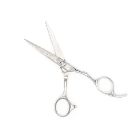 Professional 5.5" Salon Hair Cutting Scissors (9CR Steel)