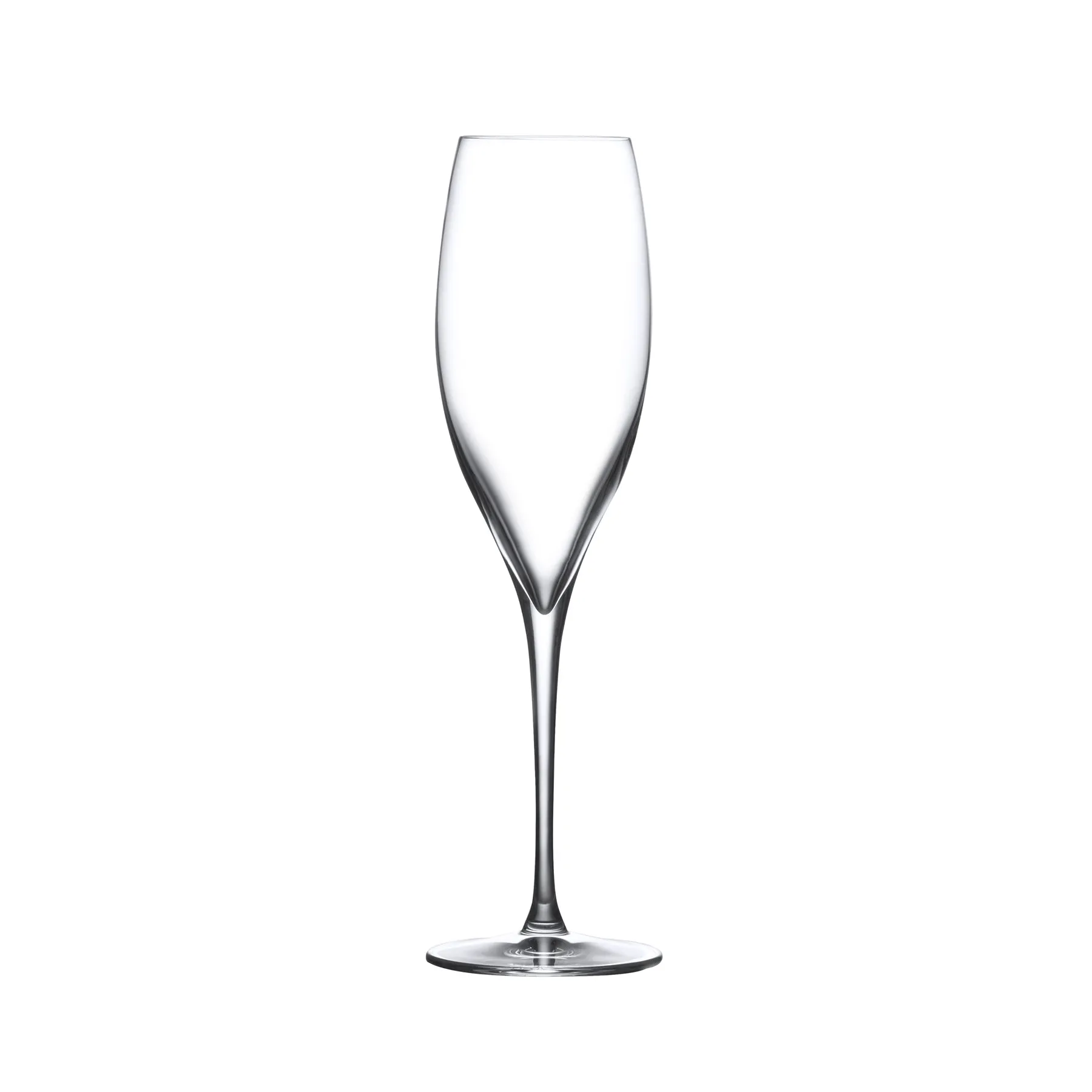 Terroir Set of 2 Champagne Glasses