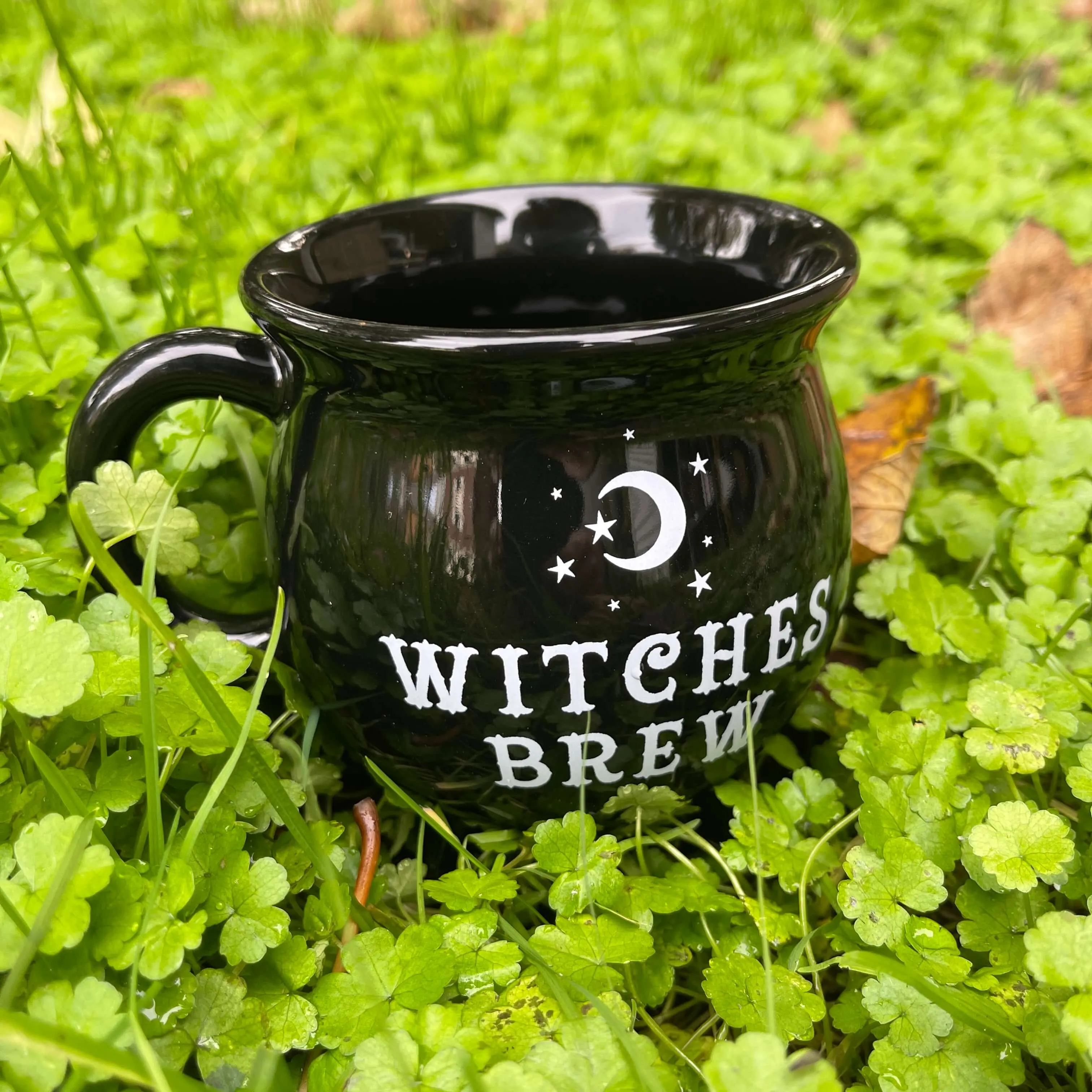 Witches Brew Cauldron Mug